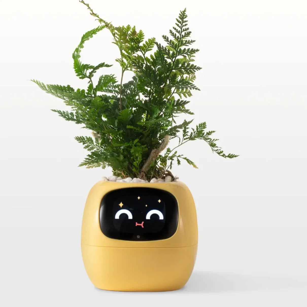 ai plant pot